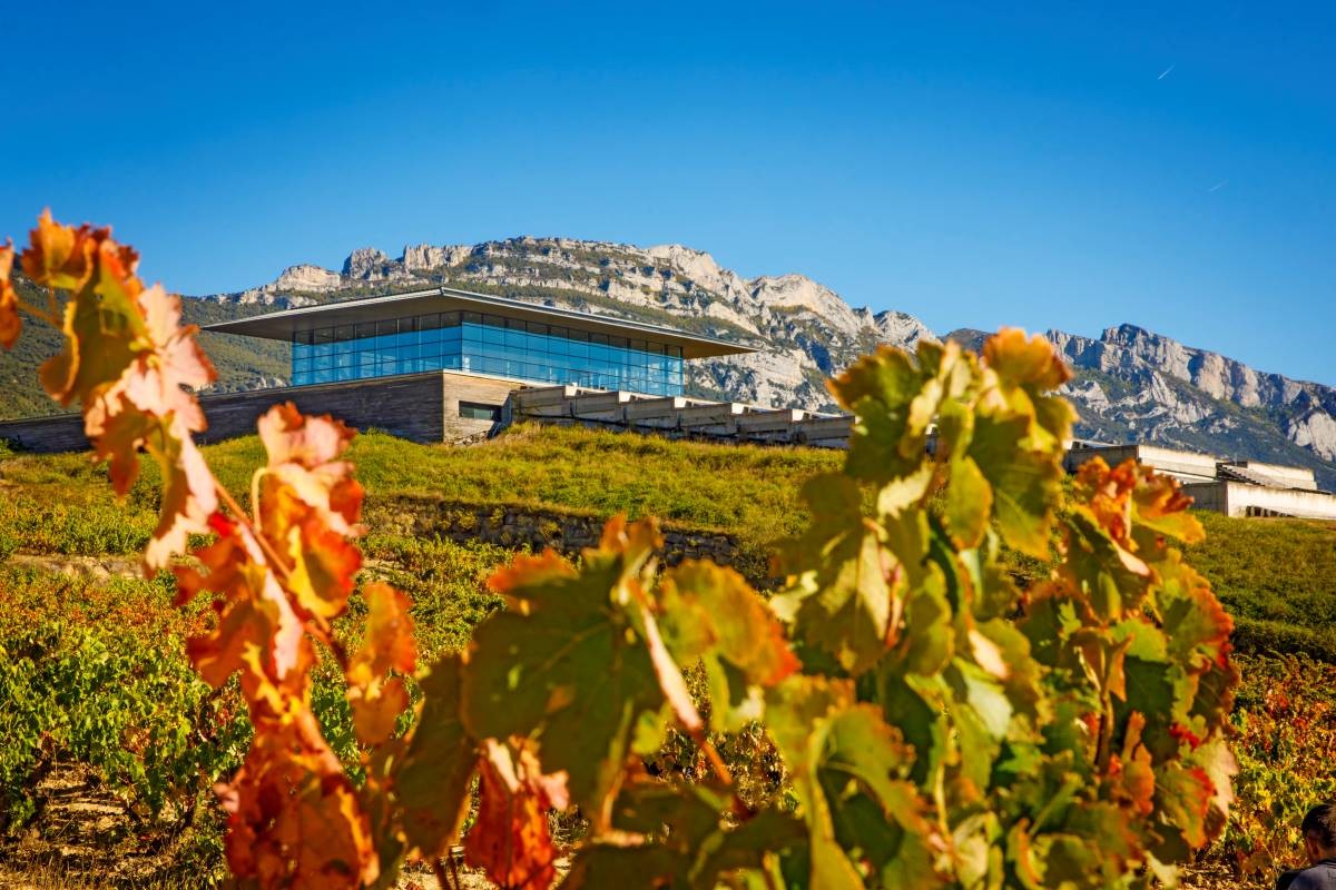 Bodegas Baigorri en Samaniego, arquitectura subterránea y restaurante panorámico
