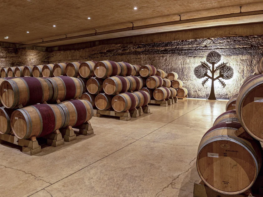 Bodegas RODA - información detallada de visitas guiadas y catas