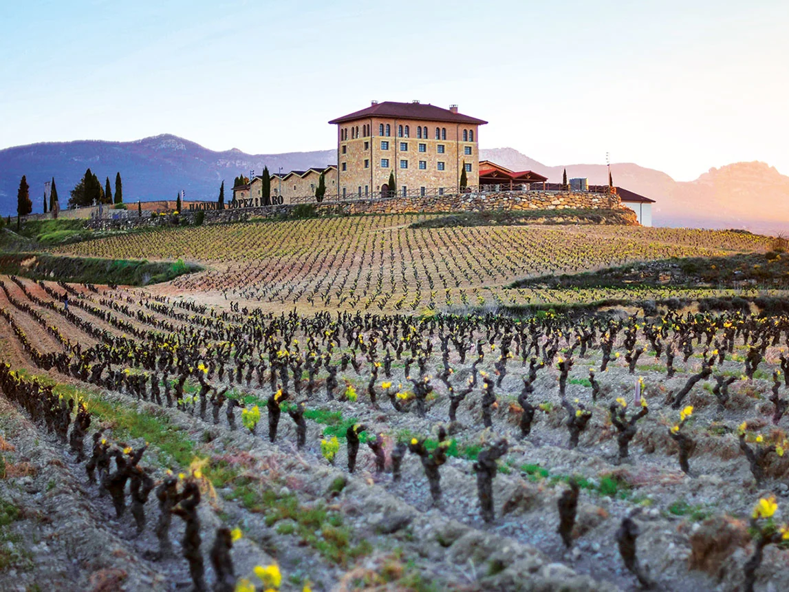Hacienda López de Haro en San Vicente de la Sonsierra, bodega rodeada de viñedos centenarios al abrigo de la Sierra de Cantabria
