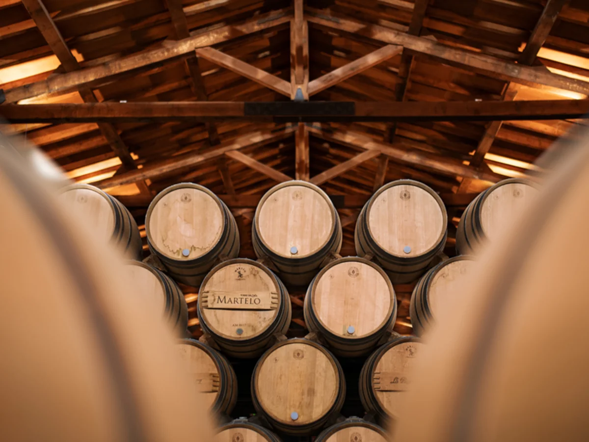Torre de Oña en Páganos, bodega boutique del grupo La Rioja Alta S.A.